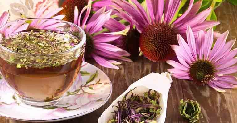INFUSIONES DE INVIERNO UNA CALIDA Y RECONFORTANTE EXPERIENCIA
